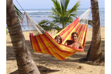 Hammock Barbados Papaya