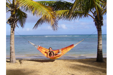 Hammock Barbados Papaya