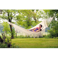 Hammock Palacio