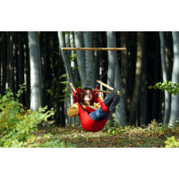 Hanging Chair Swinger