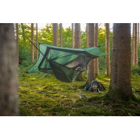 Moskito Traveller Forest