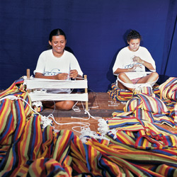 Παραγωγή amazonas